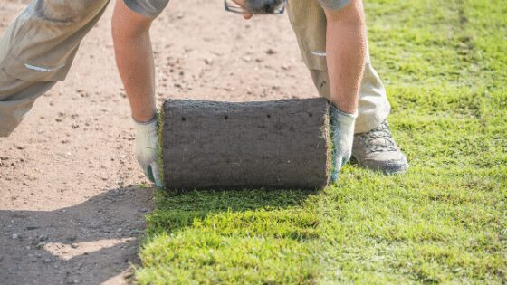 How Late Is Too Late To Lay Sod? - Monarch Sod