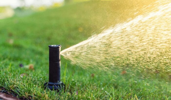 A close-up of a black pop-up sprinkler head irrigating a lush green lawn with a spray of water droplets catching the sunlight, creating a hazy glow.
