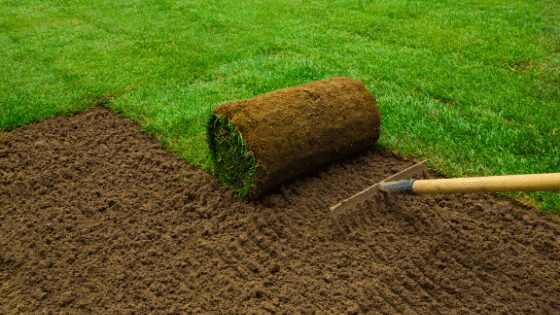 How to Prepare Soil for Sod