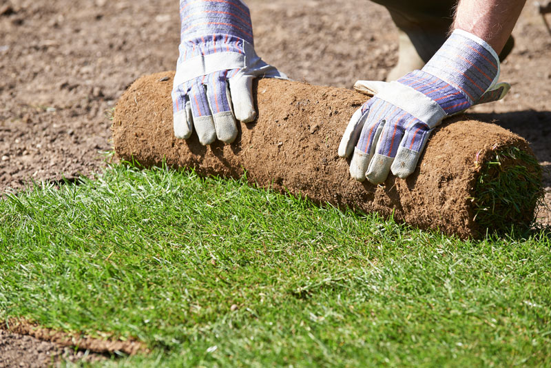 A person unrolling a roll of grass onto the ground.