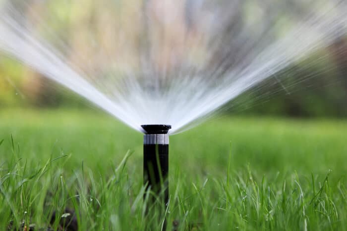 A close-up of a black pop-up sprinkler head irrigating a lush green lawn with multiple streams of water spraying upwards and outwards.