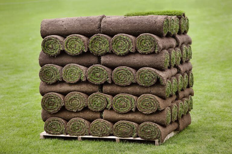 A large stack of rolls of fresh, vibrant green sod neatly arranged on a wooden pallet, set against a blurred background of a green grassy field.