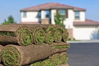 A pile of grass rolls in front of a residential house.