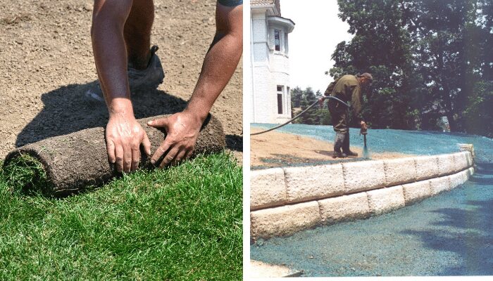 Sod Vs. Hydroseed