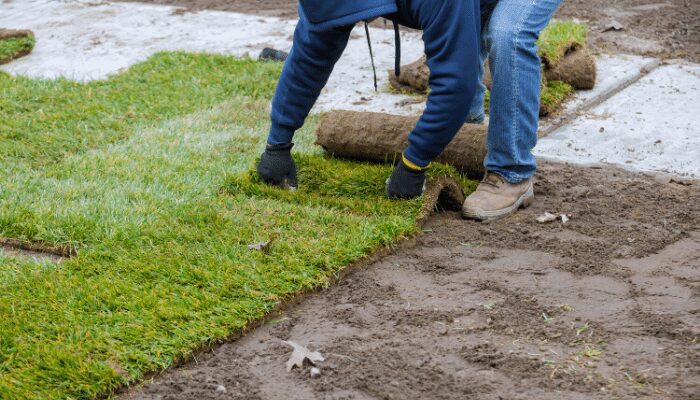 A person wearing blue jeans, a plaid shirt, and brown hiking boots is unrolling a roll of fresh green sod onto prepared brown soil next to an already laid section of vibrant green lawn.