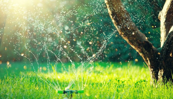 A green and silver automatic sprinkler head sprays water in a circular pattern over a lush green lawn, illuminated by golden sunlight filtering through the leaves of a large tree to the right. Bokeh effects from the water droplets are visible in the air.