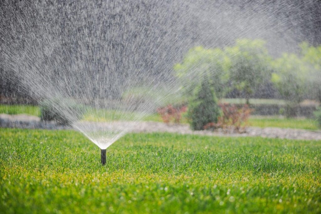 Water cascades from a sprinkler onto a vibrant green lawn