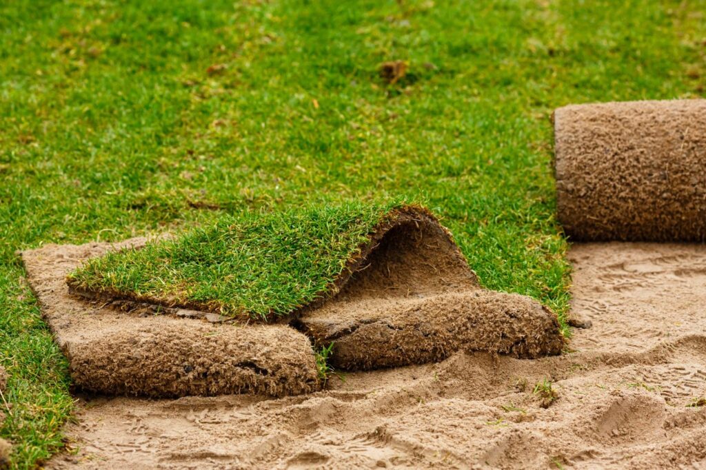 Rolled sod being installed on a sandy surface with green grass in the background.
