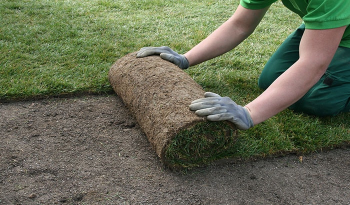 Lawn Care: Best Time To Aerate Your Lawn