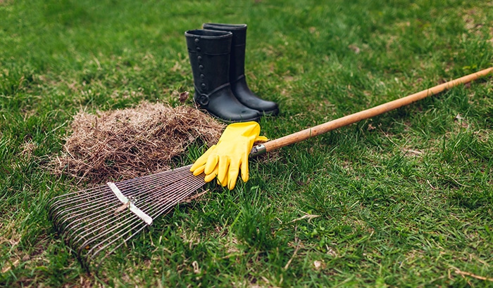 What to Do for Spring Lawn Care