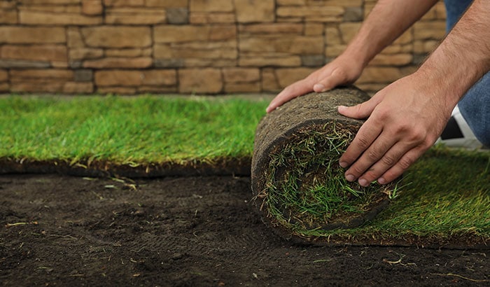 What is the Process of Sod Installation?