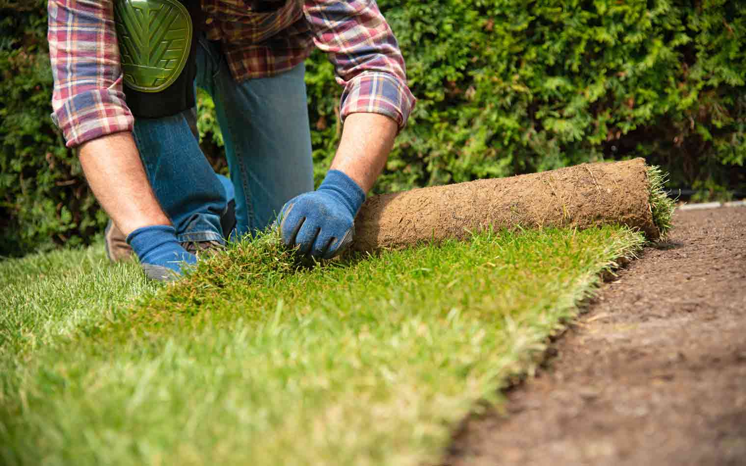 Utah Sod Shops