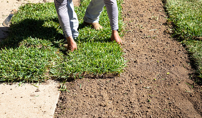 Can I Install Sod Over Rocky Soil?