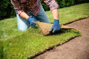 A man is applying grass sod to a lawn focusing on creating a well-maintained and attractive yard