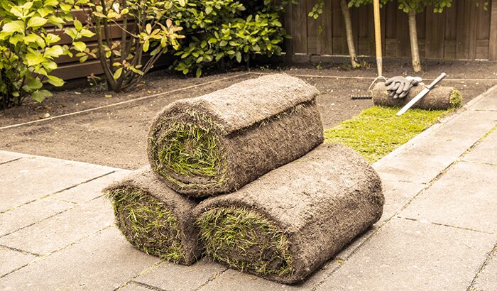 Steps to Prepare for Sod Installation