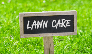 Lawn Care For Beginners