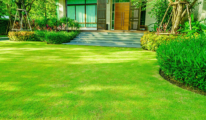 6 Secrets to Maintaining a Luscious Green Lawn