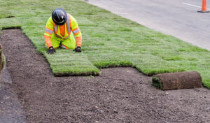 Sod Installation and Fertilization: How to Do It Right