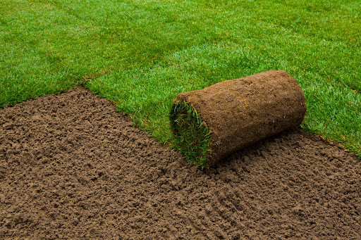 Rolled up grass on the ground.