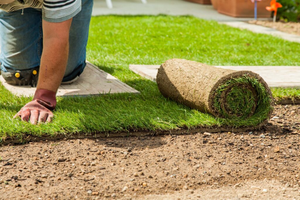 Worker installing fresh sod rolls on a residential lawn to create a lush, healthy green yard with professionally laid turf.