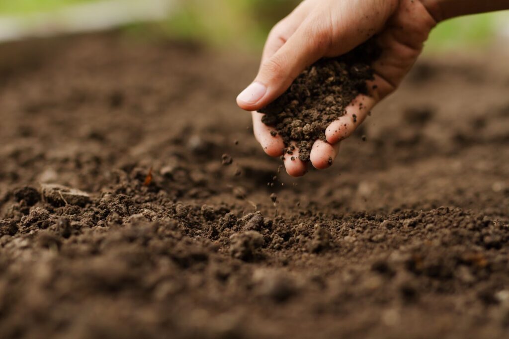 Understanding How the Climate Will Impact How You Care For Your Soil
