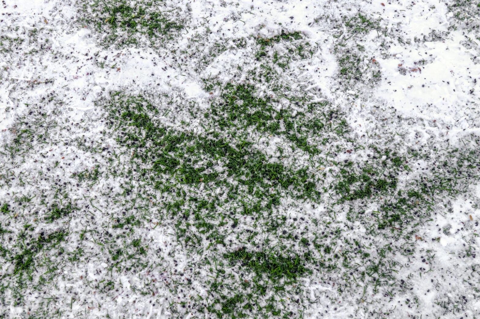 Can New Sod Survive Winter? 5 Essential Tips | Monarch Sod