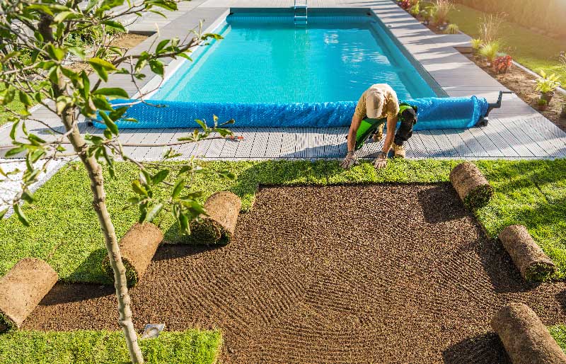 A man tends to a lawn near a pool, showcasing lush grass from Monarch Sod.