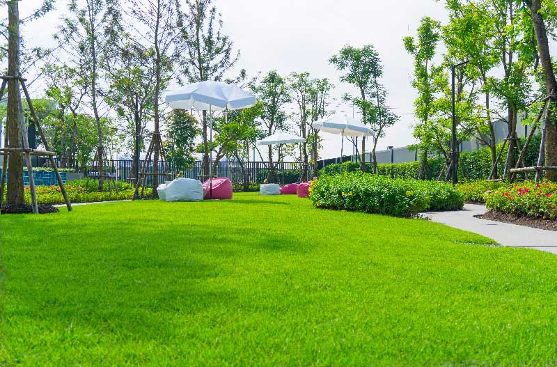 A well-maintained green lawn with beanbag chairs and white umbrellas under a bright sky, surrounded by trees and colorful flowerbeds.