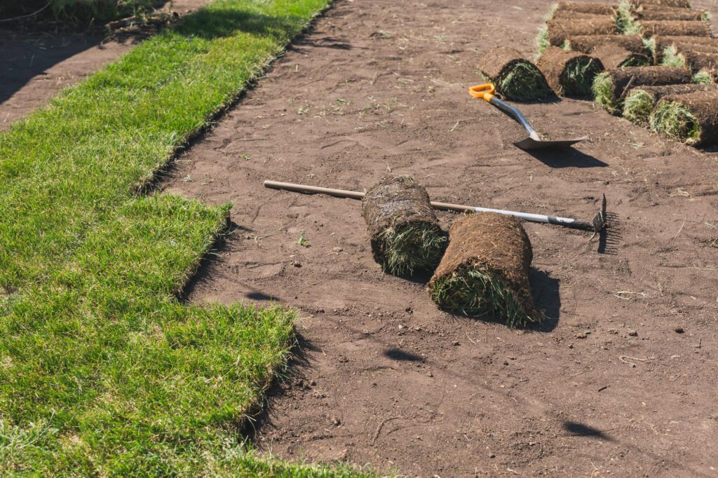 Installing new grass turfs from a roll - Garden building theme. High quality photo