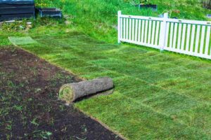 Photo of a rolled-up sod lawn next to freshly laid grass with a white fence in the background.