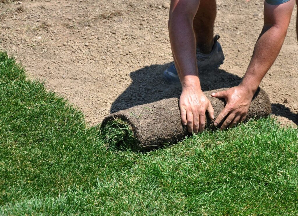 The image shows a person laying a roll of sod on the ground, with green grass already in place and bare soil nearby.