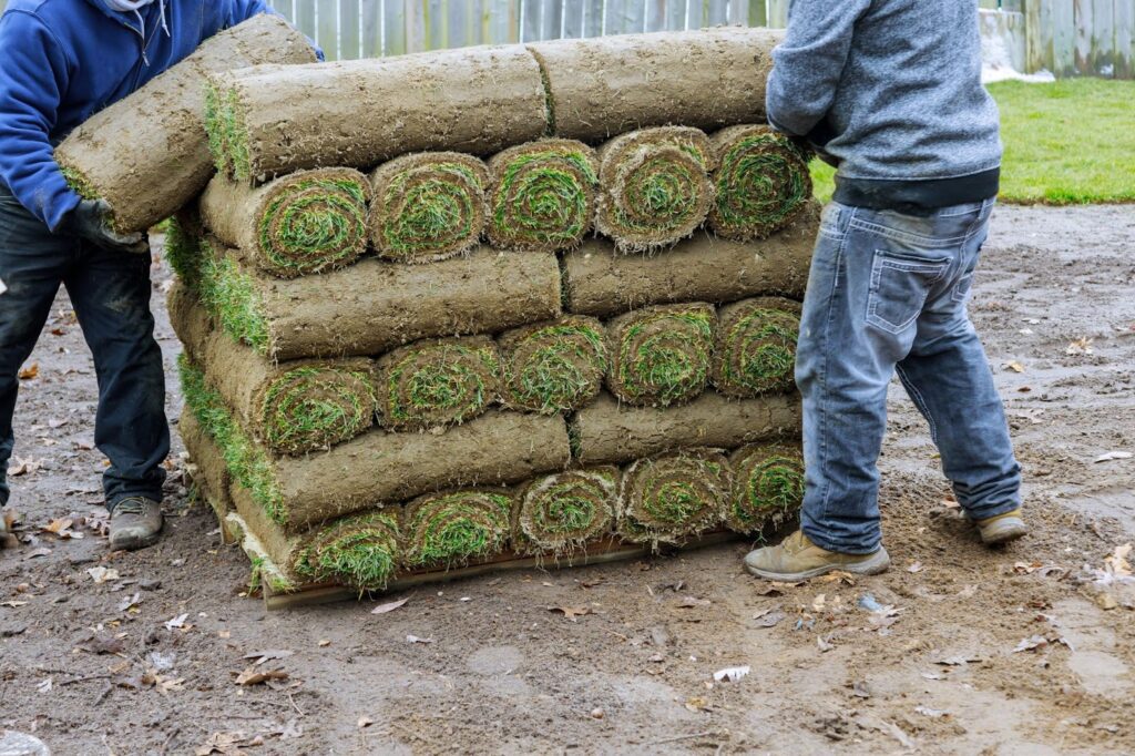 The image shows two people handling a stack of rolled sod on a muddy ground near a grassy area and a fence.