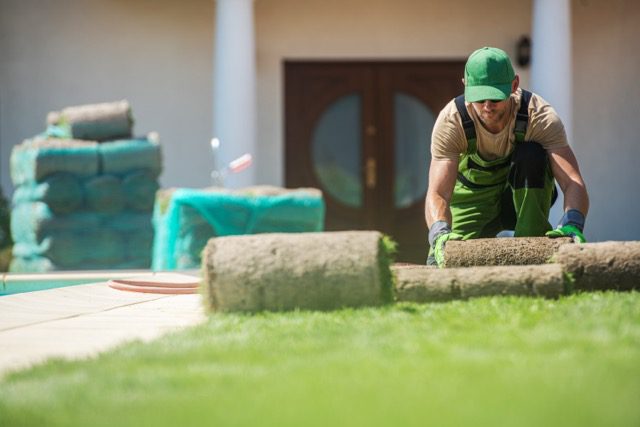A man dressed in green overalls is engaged in lawn care, specifically maintaining the sod for a healthy appearance.