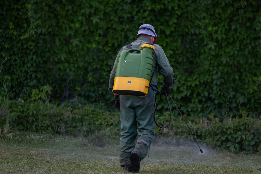 Worker wearing protective gear and a backpack sprayer treating a lawn with pesticide or herbicide.